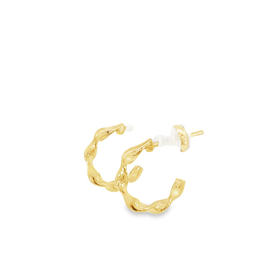 21k Earrings