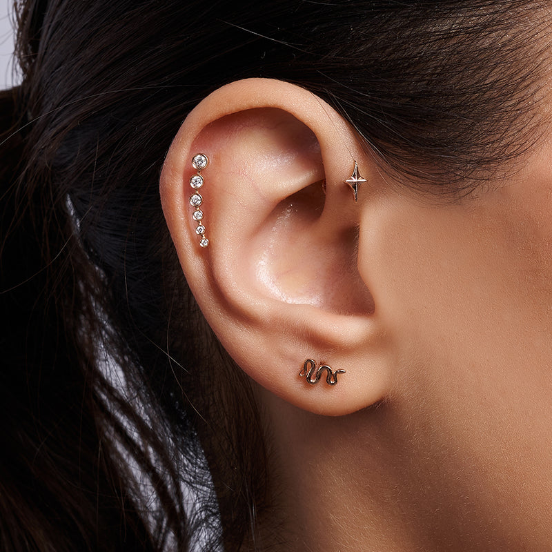 Snake Piercing